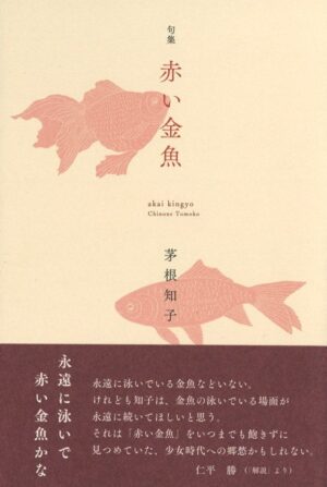 赤い金魚／茅根知子