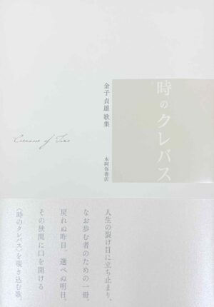 時のクレバス／金子貞雄